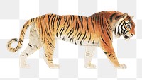 Thomas Stothard's tiger png sticker, wild animal on transparent background.   Remastered by rawpixel