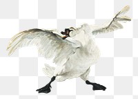 The Threatened Swan png sticker on transparent background.   Remastered by rawpixel