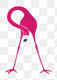 Flamingo bird png sticker, vintage animal on transparent background.   Remixed by rawpixel.