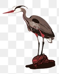 Heron bird png sticker, vintage animal on transparent background.   Remixed by rawpixel.