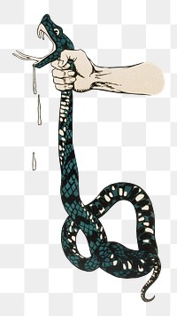 Hand squeezing png sticker venomous snake's neck on transparent background.   Remixed by rawpixel.