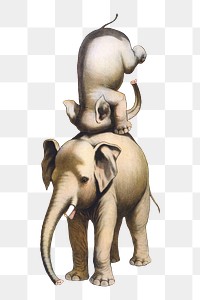 Elephant png its baby sticker, transparent background  Remixed by rawpixel.