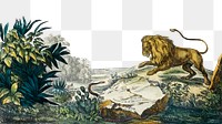 Vintage forest png border, vintage lion on transparent background.   Remixed by rawpixel.