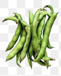 Yardlong bean vegetable png sticker, transparent background