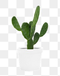 White plant pot png sticker, transparent background