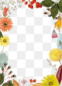 Floral frame png, transparent background