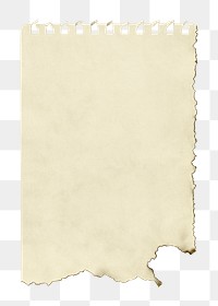 Old burnt paper png sticker, transparent background