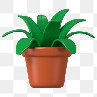 3D pot  png plant, green botanical illustration on transparent background