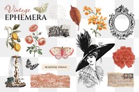 Vintage Ephemera png illustration sticker set, transparent background