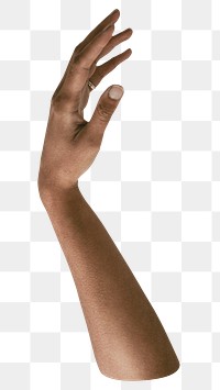 Raising hand png sticker, transparent background