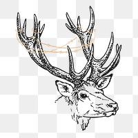 Reindeer stag png sticker, wildlife illustration, transparent background