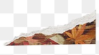 Autumn  ripped paper png sticker, transparent background