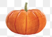 Autumn pumpkin png sticker, transparent background