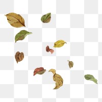 Falling Autumn leaves png sticker, transparent background