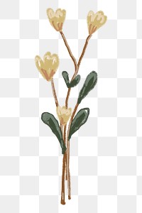 White tulip png flower doodle sticker, transparent background