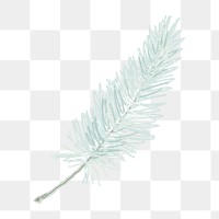 Green leaf png sticker, transparent background