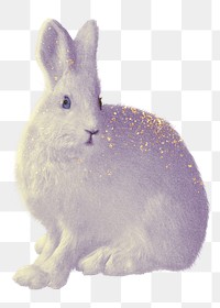 White rabbit png sticker, wild animal illustration, transparent background