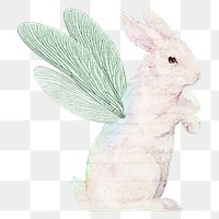 Winged rabbit png sticker, surreal animal illustration, transparent background