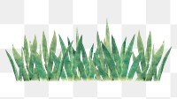 Grass bush divider png sticker, transparent background