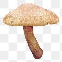 Wild mushroom png sticker, transparent background