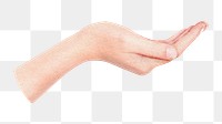 Woman's palm hand png sticker, transparent background