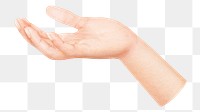 Woman's palm hand png sticker, transparent background