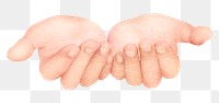 Praying hands png sticker, transparent background