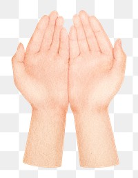 Praying hands png sticker, transparent background