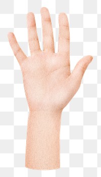 Raised hand png sticker, transparent background