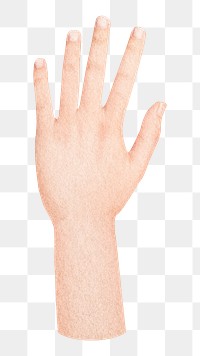 Raised hand png sticker, transparent background