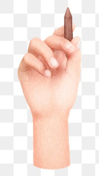 Hand holding pencil png sticker, transparent background