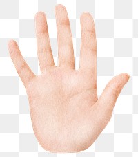 Raised palm hand png sticker, transparent background