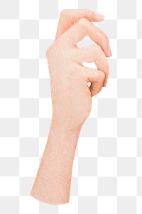 Woman's hand png sticker, transparent background