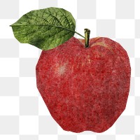 Apple png sticker, transparent background