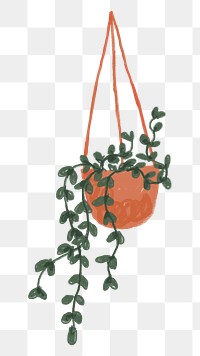 Aesthetic houseplant png sticker, transparent background