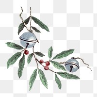 Holly branch png sticker, transparent background