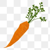 Carrot vegetable png sticker, transparent background