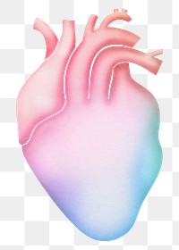 Human heart png sticker, holographic collage, transparent background