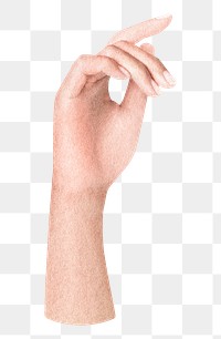 Woman's hand png sticker, transparent background