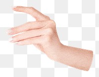 Woman's hand png sticker, transparent background