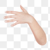 Woman's hand png sticker, transparent background