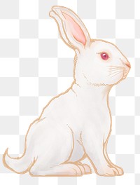 White rabbit png sticker, Chinese zodiac animal illustration, transparent background