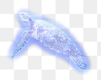 Sea turtle png blue element, transparent background