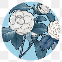 White camellias png flower sticker, transparent background, remixed by rawpixel