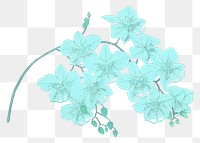 Blue flower png moth orchid sticker, transparent background, remixed by rawpixel