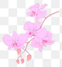 Pink flower png moth orchid sticker, transparent background, remixed by rawpixel