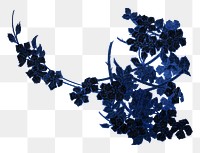 Dark blue flower png botanical sticker, transparent background, remixed by rawpixel