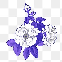 Aesthetic rose png flower sticker, transparent background, remixed by rawpixel