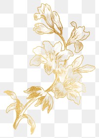 Gold flower png botanical sticker, transparent background, remixed by rawpixel