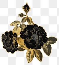 Black rose png flower sticker, transparent background, remixed by rawpixel